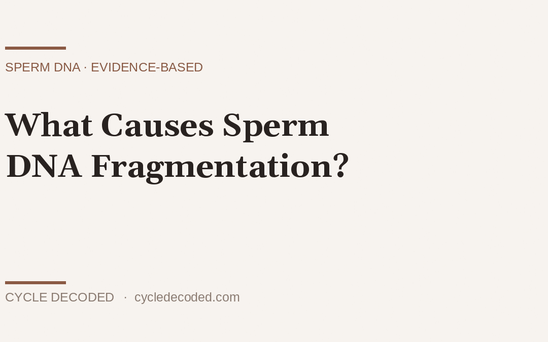 What Causes Sperm DNA Fragmentation?
